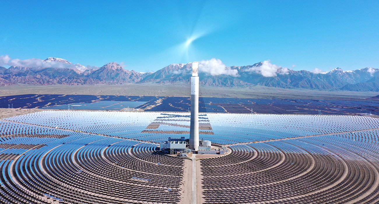 Stake(�й���)�ٷ���վ