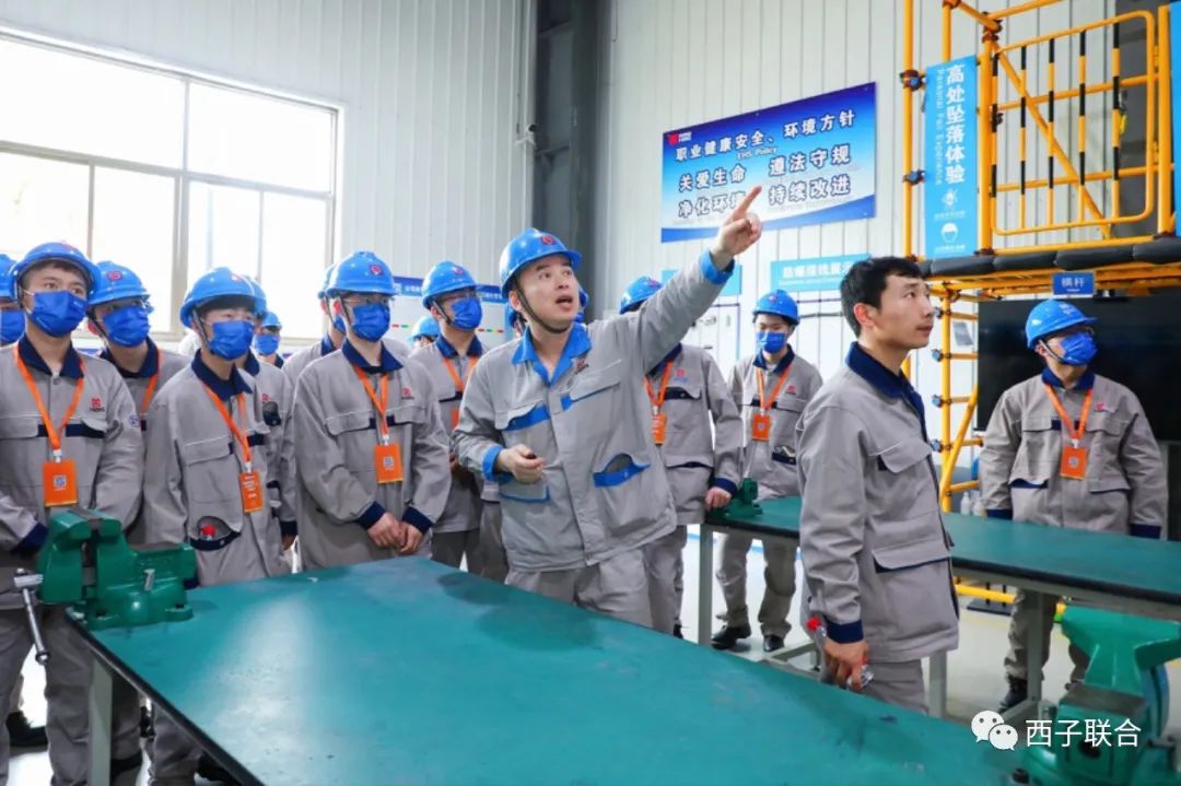 Stake(中国区)官方网站