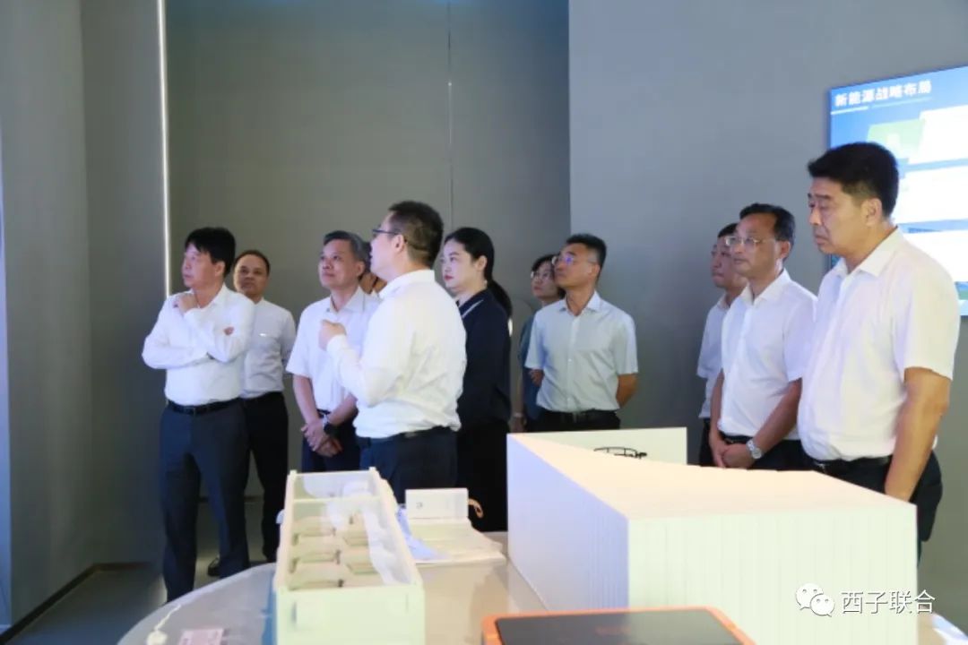 Stake(ÖйúÇø)¹Ù·½ÍøÕ¾