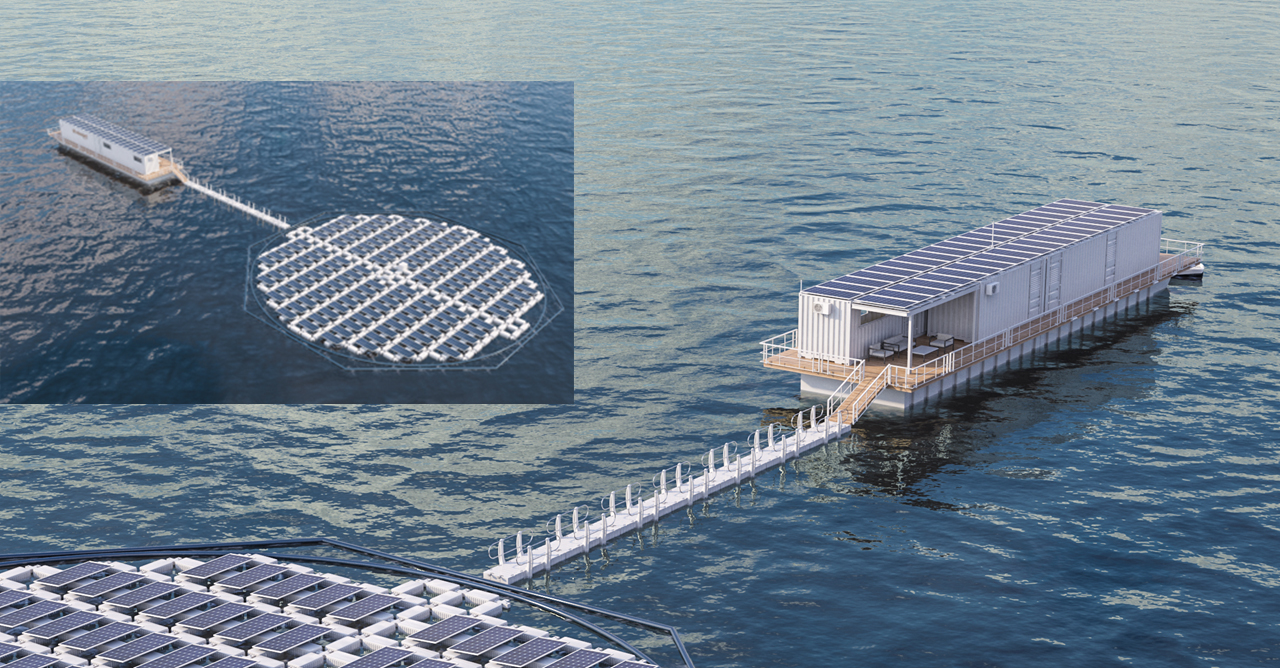 Stake(�й���)�ٷ���վ