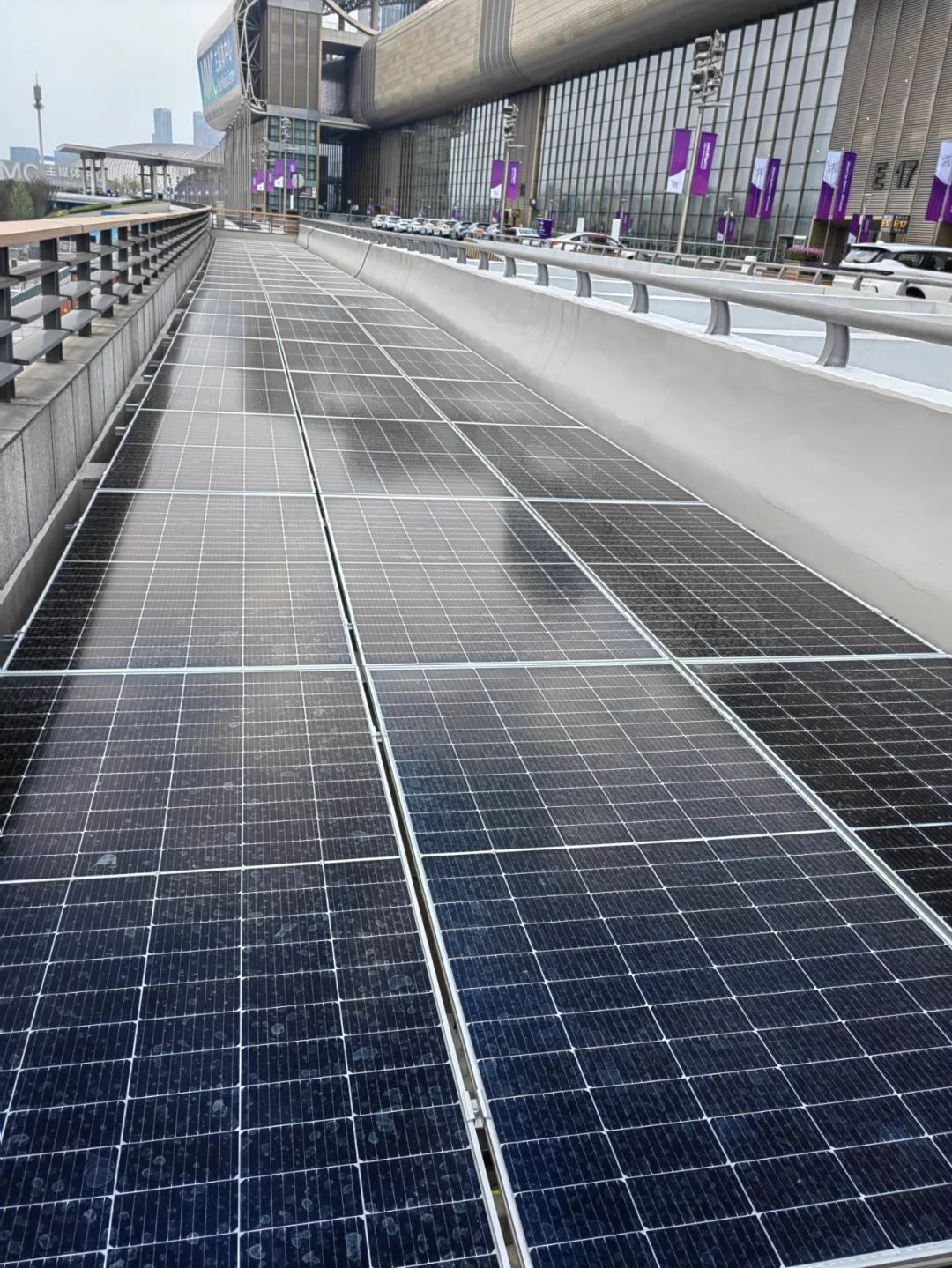 Stake(�й���)�ٷ���վ