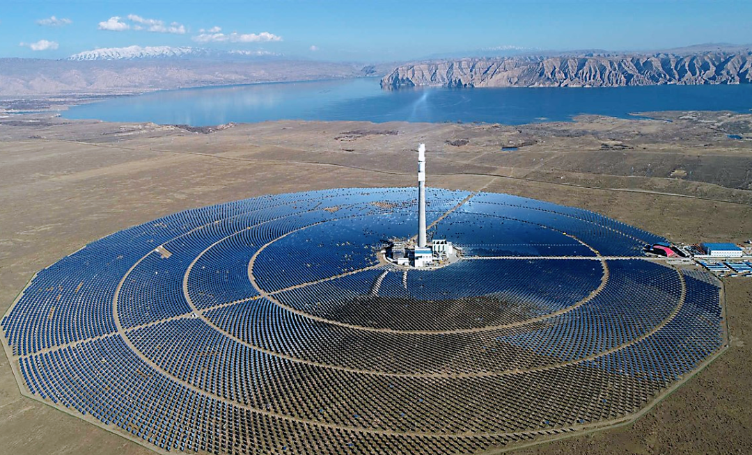 Stake(�й���)�ٷ���վ