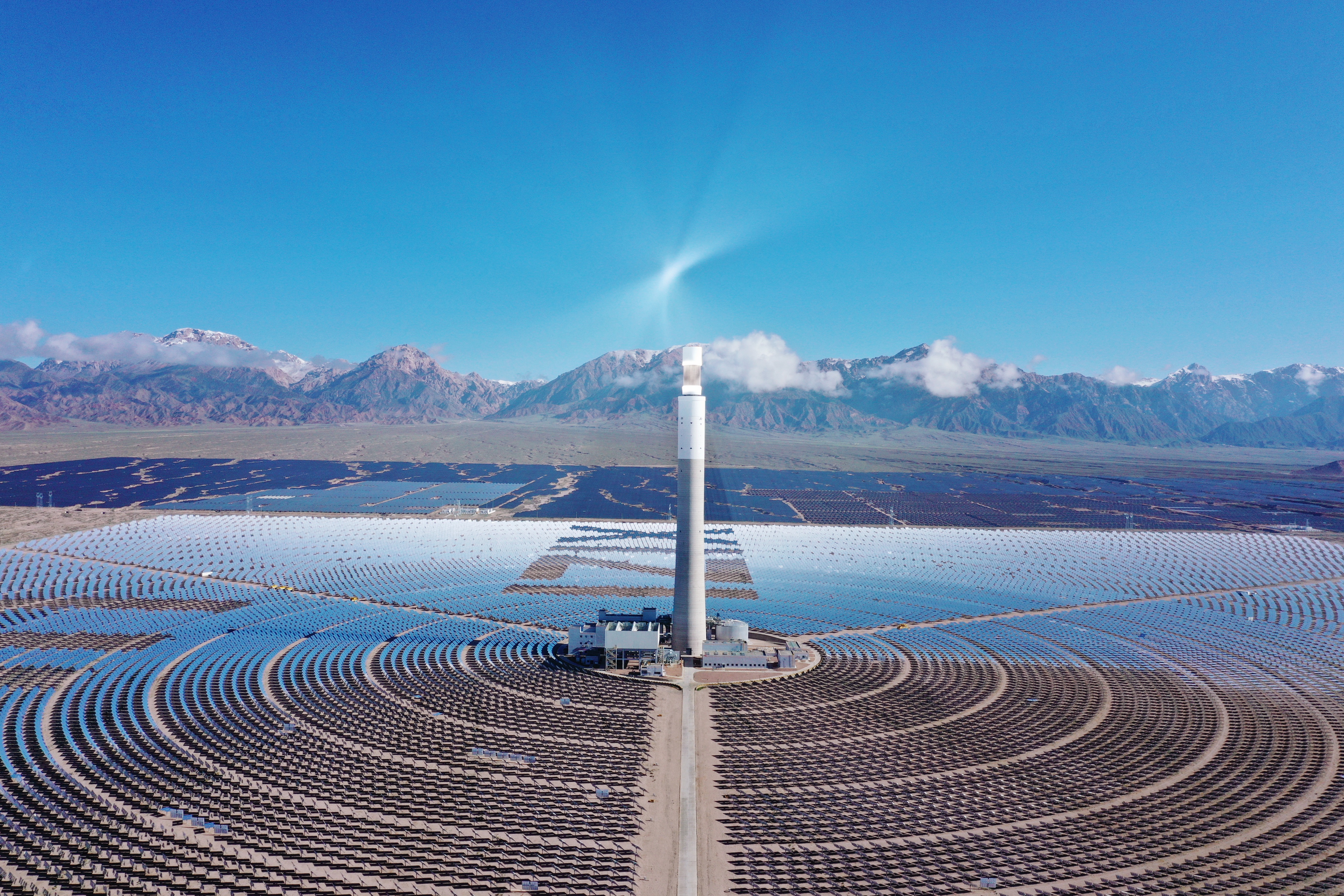 Stake(�й���)�ٷ���վ