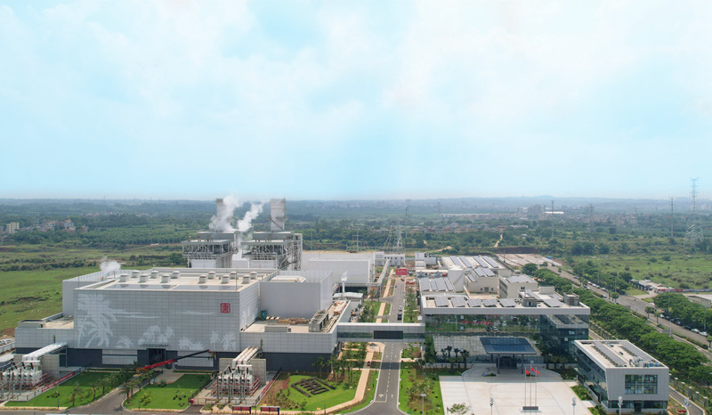 Stake(�й���)�ٷ���վ